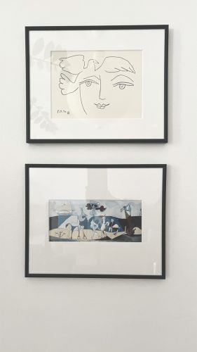 Maja, Łódź Maja, Łódź