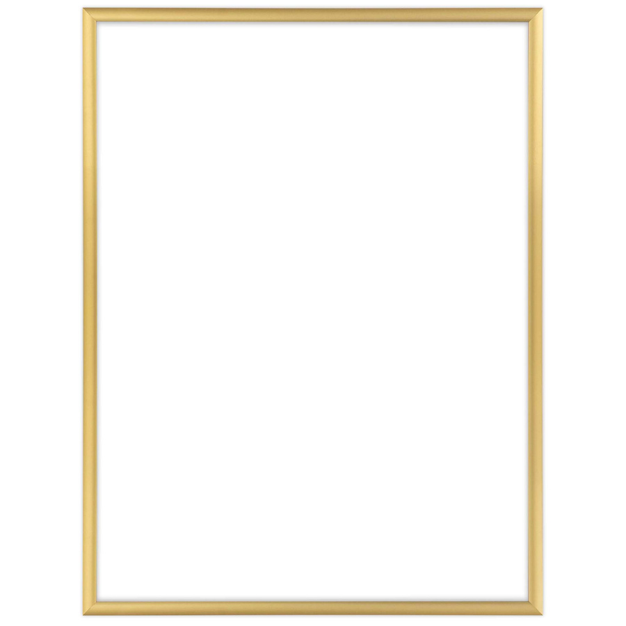 Ramka aluminiowa ROYALL Złote 30x40 cm