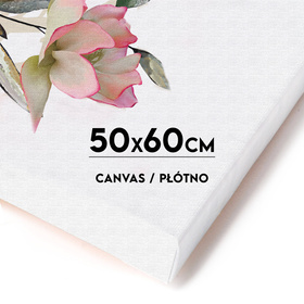Wydruk na płótnie CANVAS 50x60 cm