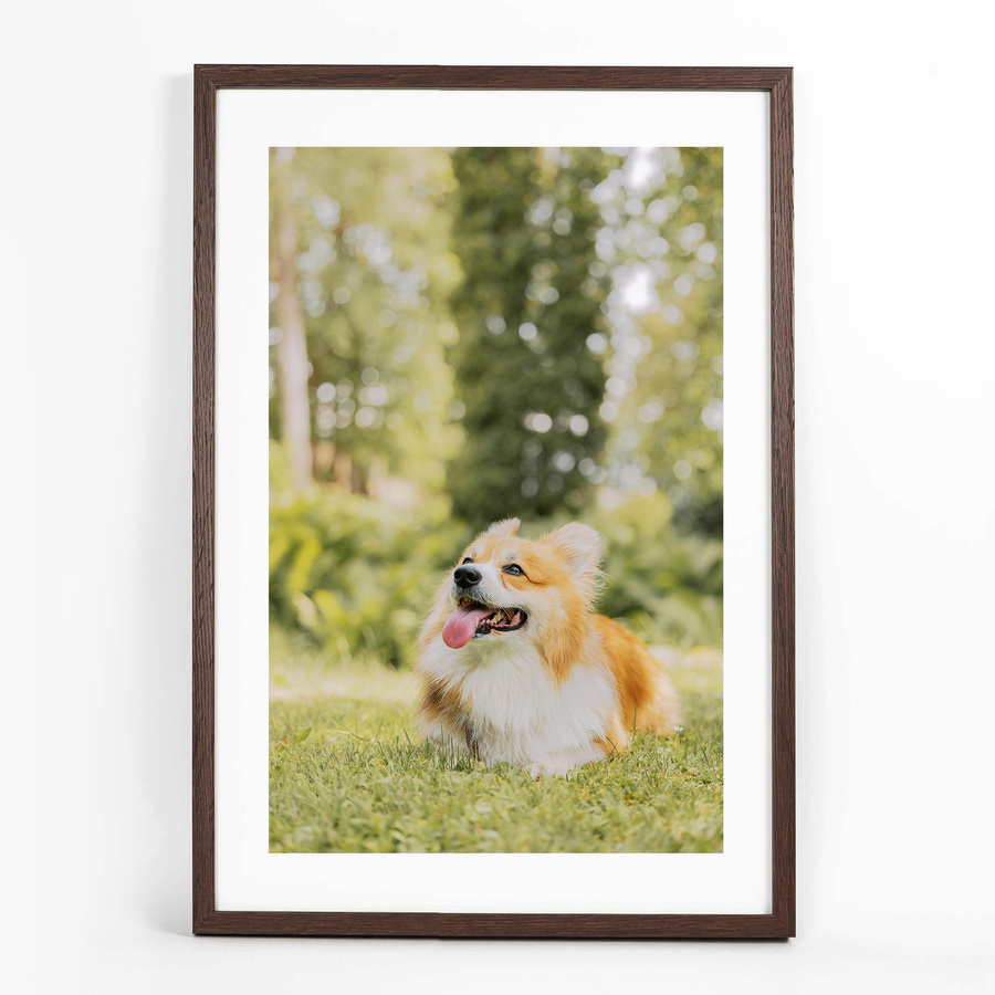 Brązowa ramka na zdjęcia FDM 6 w rozmiarze 40x60 cm