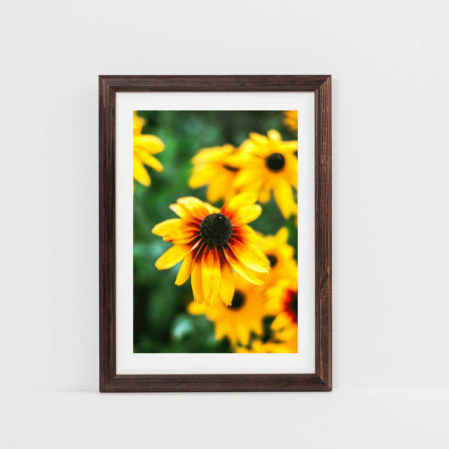 Pakiet ciemno brązowych ramek drewnianych 5 szt. DRWA 44 PAK 13x18 cm