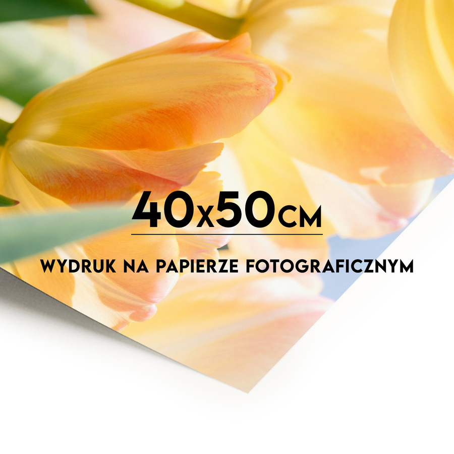 Wydruk fotograficzny Fine Art 40x50 cm