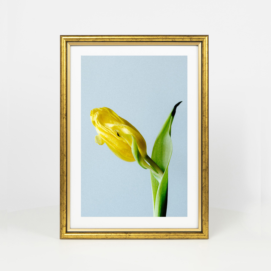 Ramka drewniana VELIA 1900 21x30 cm