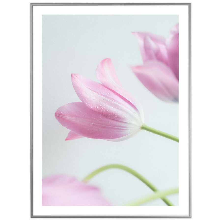 Ramka aluminiowa ROYALL Srebrna 60x80 cm