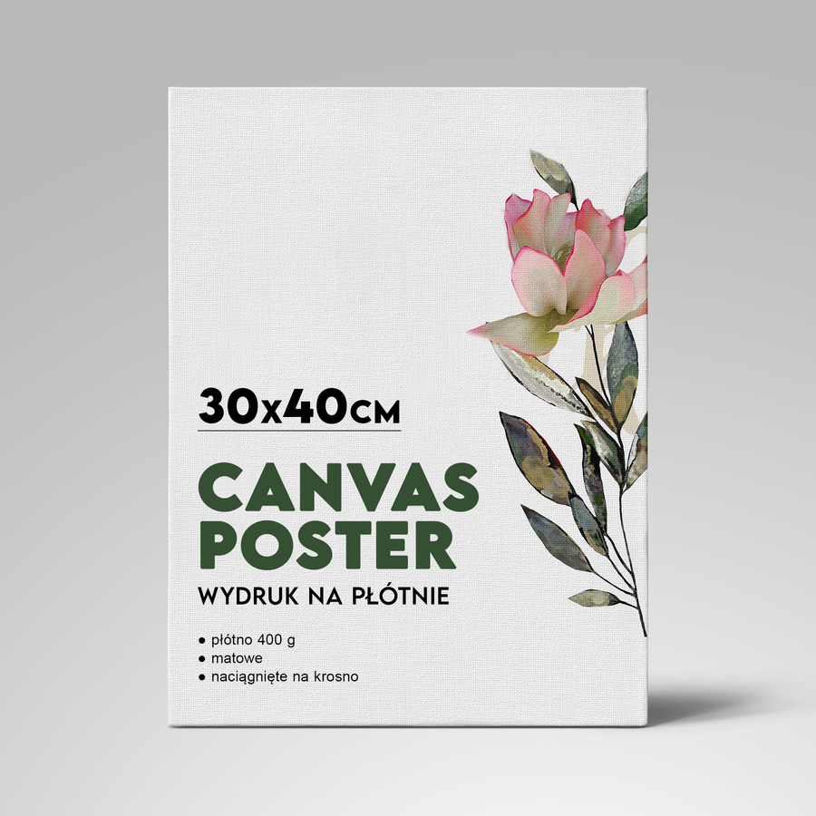 Wydruk na płótnie CANVAS 30x40 cm
