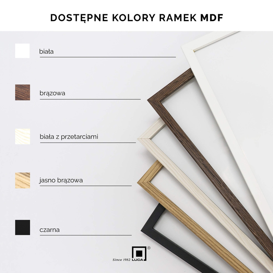 Zestaw 5 białych ramek na zdjęcia FDM 5 w rozmiarze 13x18 cm