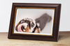 Ramka drewniana CUTRO 2026, szlachetna fotoramka na zdjęcia, plakaty lub rysunki - kolor brązowy, złoty pasek