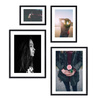 Zestaw czarnych ramek galeria 2 GF0008 1x15x21 1x 21x30 2x 30x40 cm