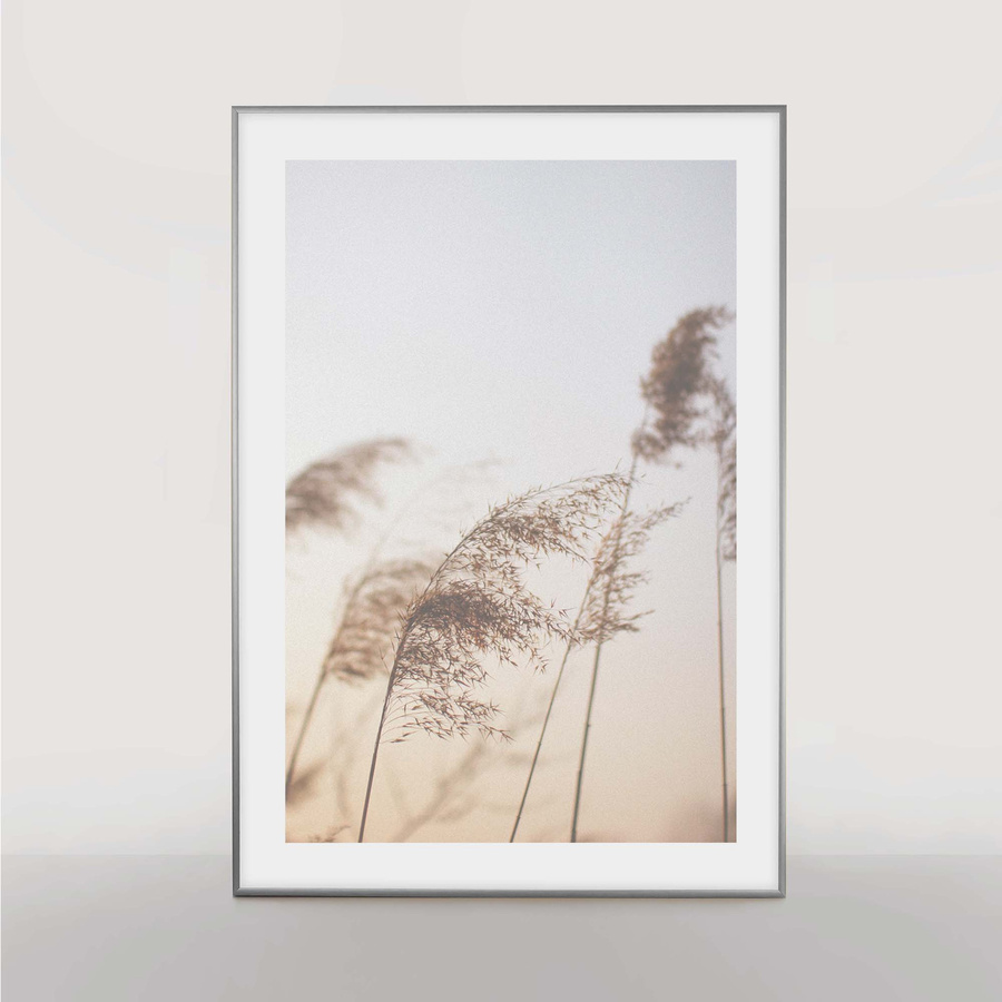 Ramka aluminiowa ROYALL Srebrne 70x100 cm