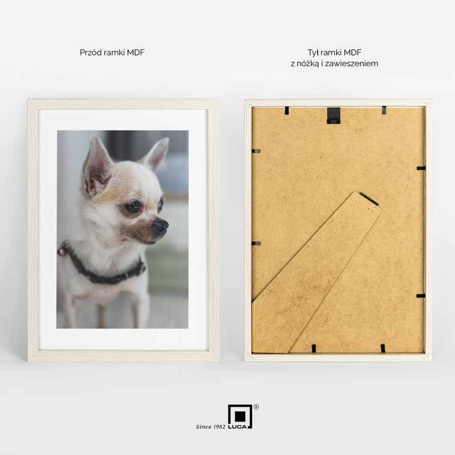 Zestaw 5 białych ramek FDM 5 21x30 cm