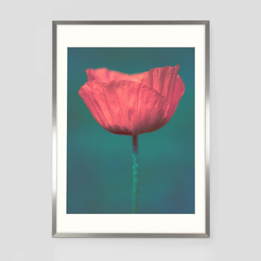 Ramka z passe partout na zdjęcia w rozmiarze 70x100 cm z okienkiem passe partout 60x80 cm