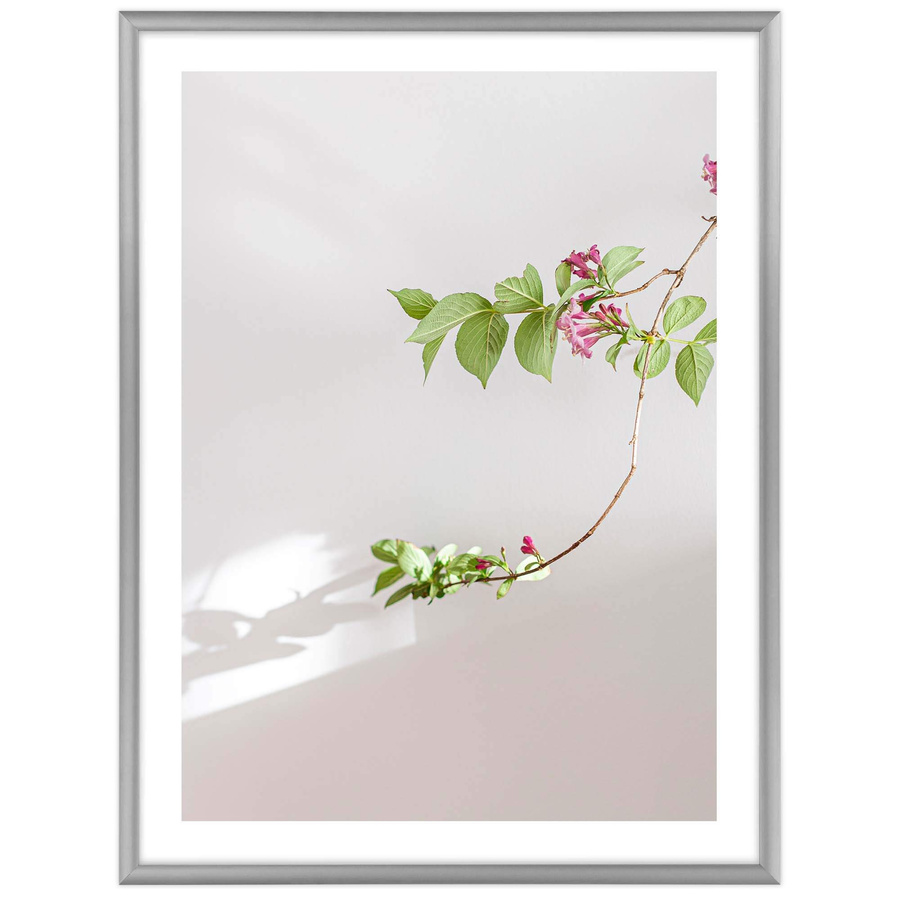 Ramka aluminiowa ROYALL Srebrna 30x40 cm