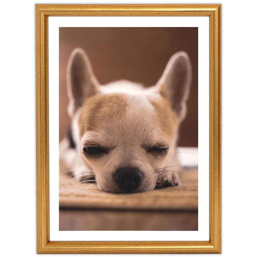 Ramka drewniana TORI 1849, szlachetn fotoramka na zdjęcia, plakaty lub rysunki - kolor złoty