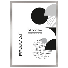 Srebrna ramka HEN S 50x70 cm