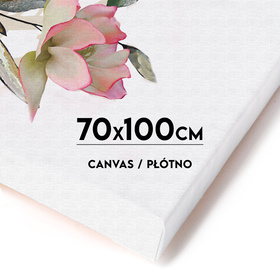 Wydruk na płótnie CANVAS 70x100 cm
