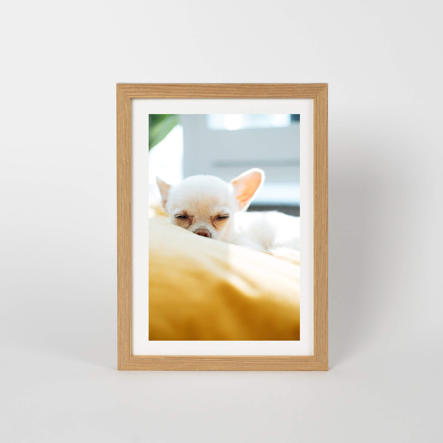 Pakiet ramek drewnianych 5 szt. PINIA 00 5SZT 15x21 cm