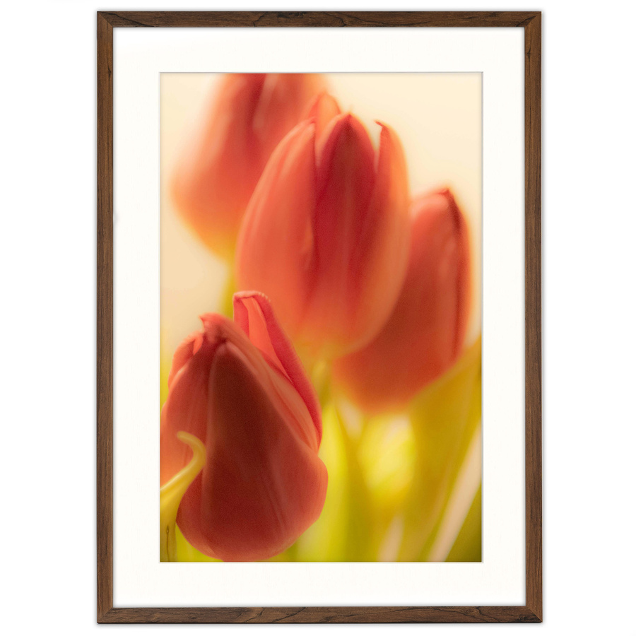 Brązowa ramka z passe partout na zdjęcia w rozmiarze 50x70 cm z okienkiem passe partout 40x60 cm