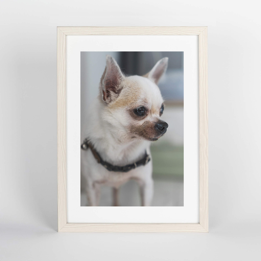 Biała ramka na zdjęcia z przetarciami FDM 5 w rozmiarze 30x40 cm