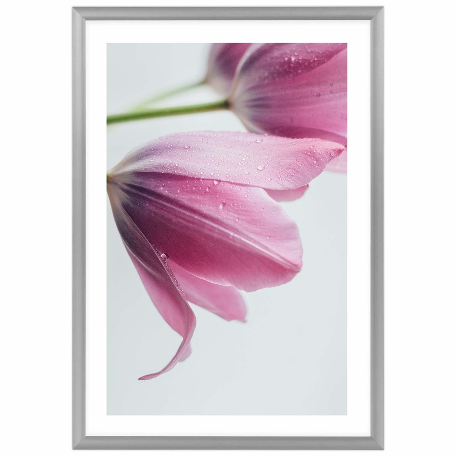 Ramka aluminiowa ROYALL Srebrna 21x30 cm