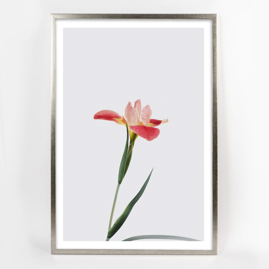 Ramka drewniana UNO S, nowoczesna, wysoka fotoramka na zdjęcia, plakaty lub rysunki - kolor srebrny