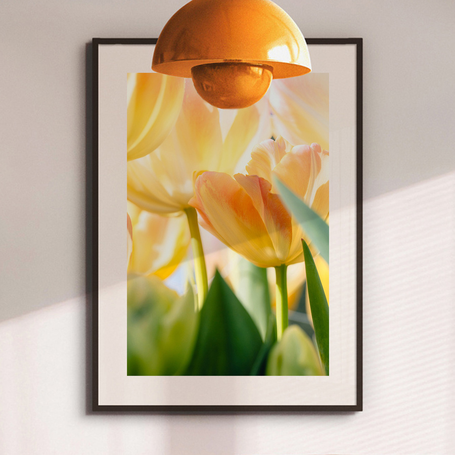 Wydruk fotograficzny Fine Art 40x50 cm