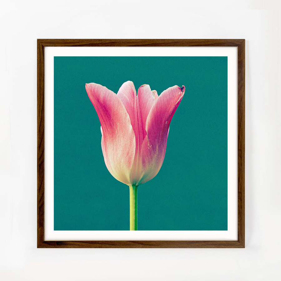 Brązowa ramka na zdjęcia w rozmiarze 50x50 cm