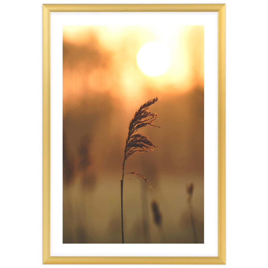 Ramka aluminiowa ROYALL Złota 21x30 cm