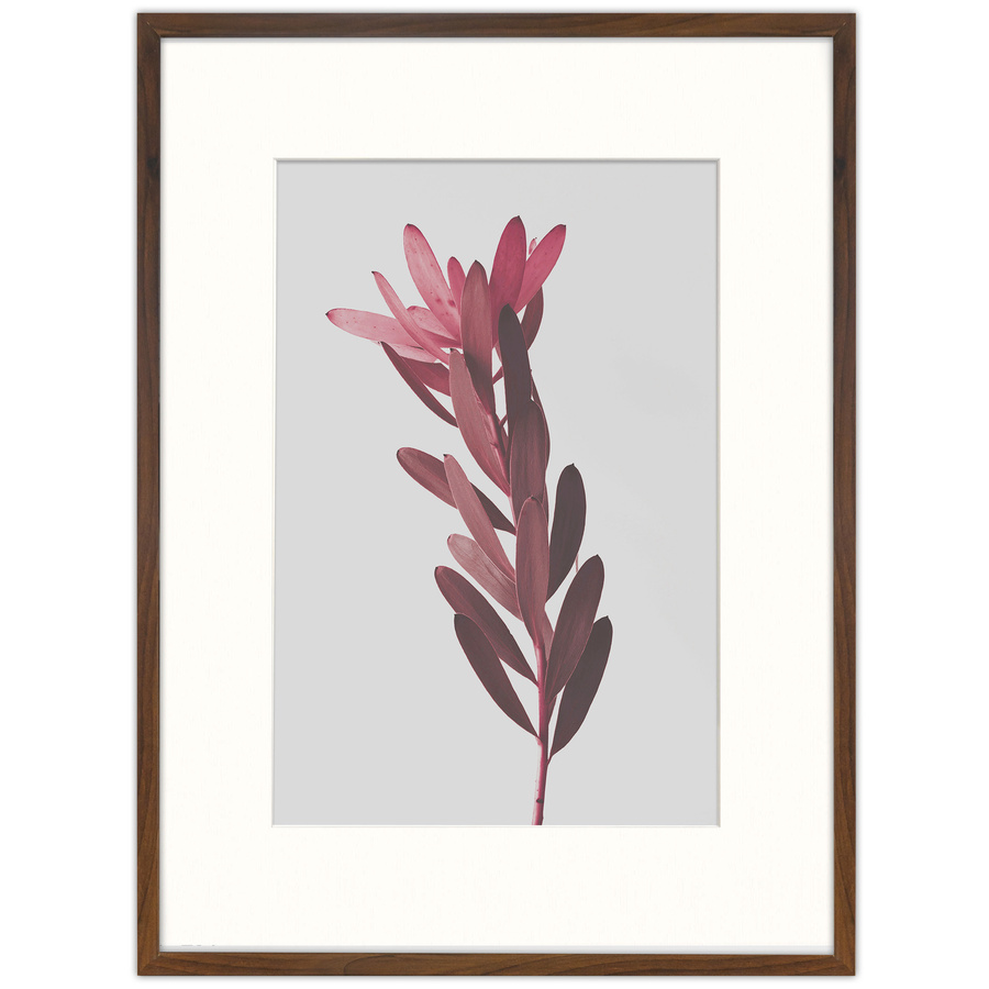 Brązowa ramka z passe partout na zdjęcia w rozmiarze 60x80 cm z okienkiem passe partout 40x60 cm