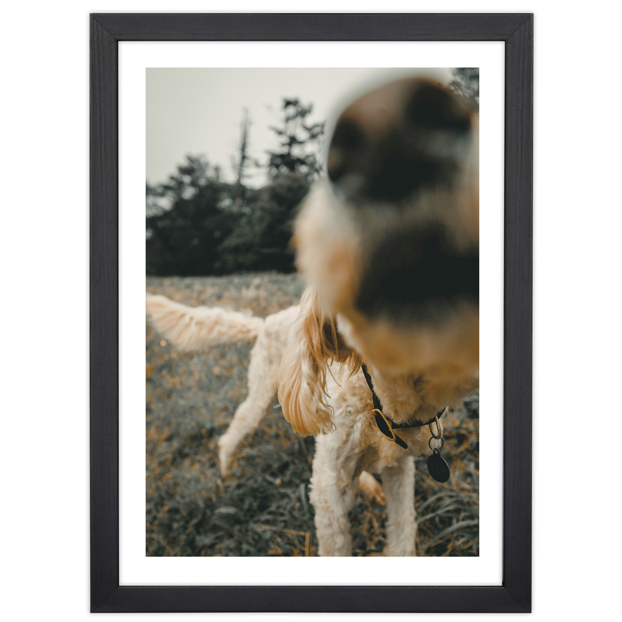 Galeria ścienna PINIA 2 GF0001. Zestaw czarnych ramek na ścianę