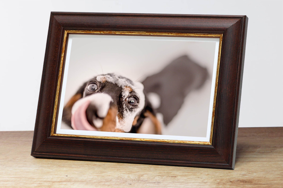 Ramka drewniana CUTRO 2026, szlachetna fotoramka na zdjęcia, plakaty lub rysunki - kolor brązowy, złoty pasek