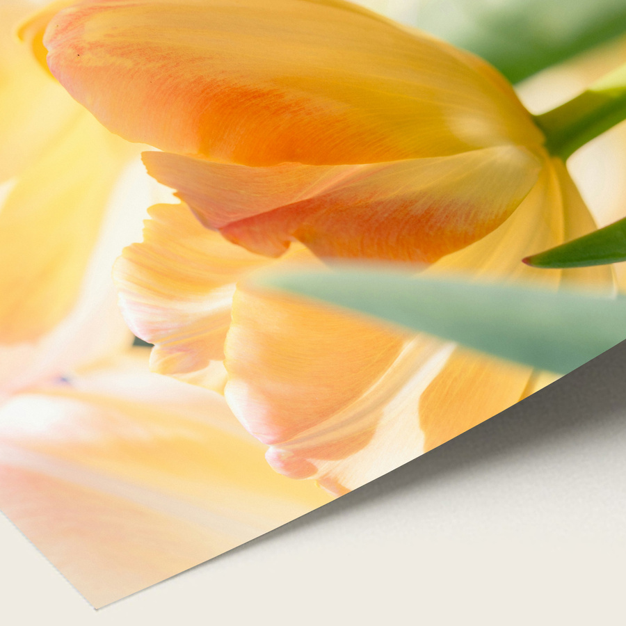 Wydruk fotograficzny Fine Art 70x100 cm