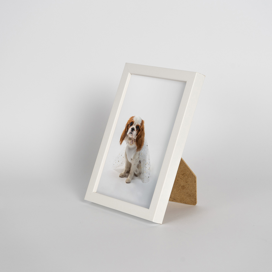 Zestaw ramek drewnianych PINIA 2683 PAK 5 szt. - kolor biały