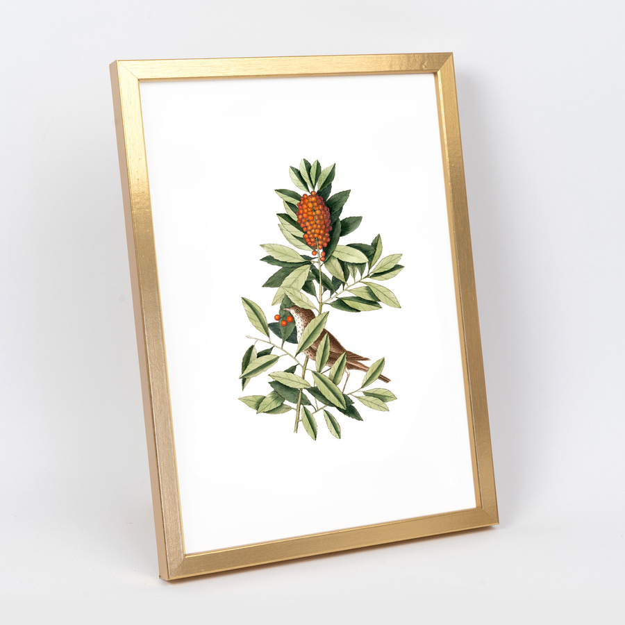 Złota ramka na zdjęcia KEA Z w rozmiarze 21x29,7 cm