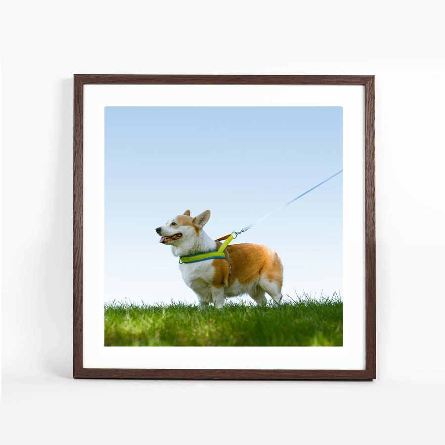 Ramka na zdjęcia w brązowym kolorze FDM 6 w rozmiarze 50x50 cm