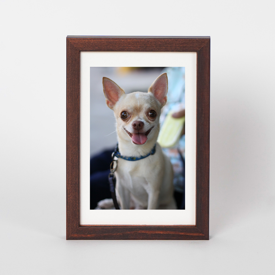 Zestaw ramek drewnianych PINIA 2975 PAK 5 szt. - kolor brązowy