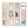 Zestaw ramek PINIA 00 GF0026 - galeria ramek na 12 zdjęć