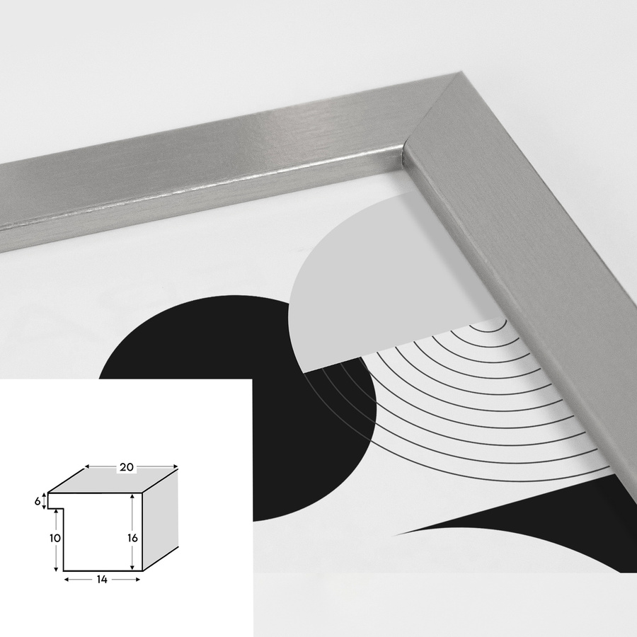 Srebrna ramka HEN S 40x50 cm