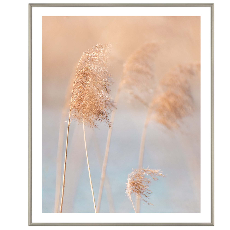 Ramka aluminiowa ROYALL Srebrna 50x60 cm