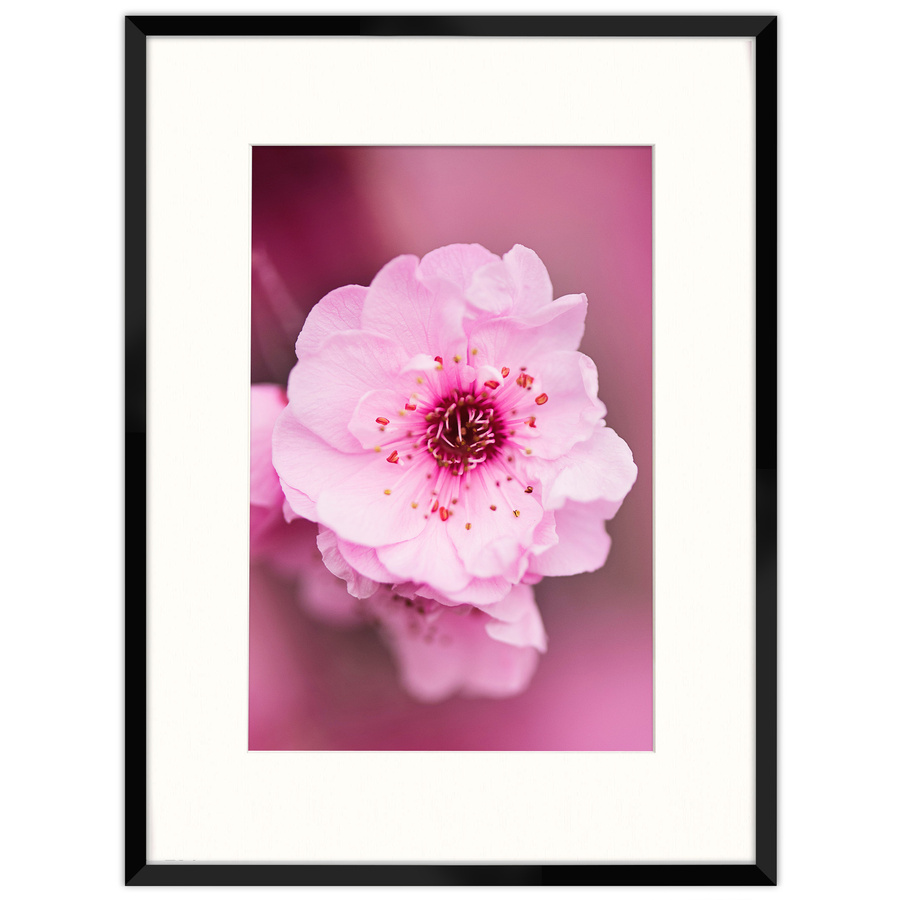 Czarna ramka z passe partout na zdjęcia w rozmiarze 60x80 cm z okienkiem passe partout 40x60 cm