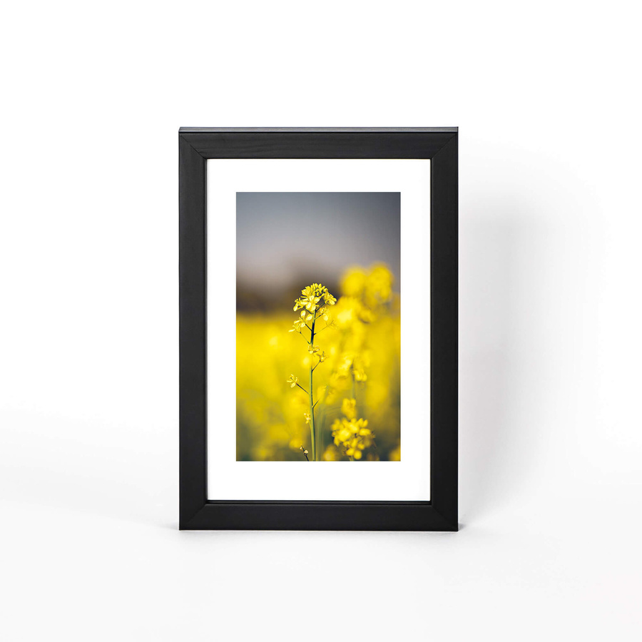 Zestaw ramek drewnianych PINIA 2684 PAK 5 szt. - kolor czarny