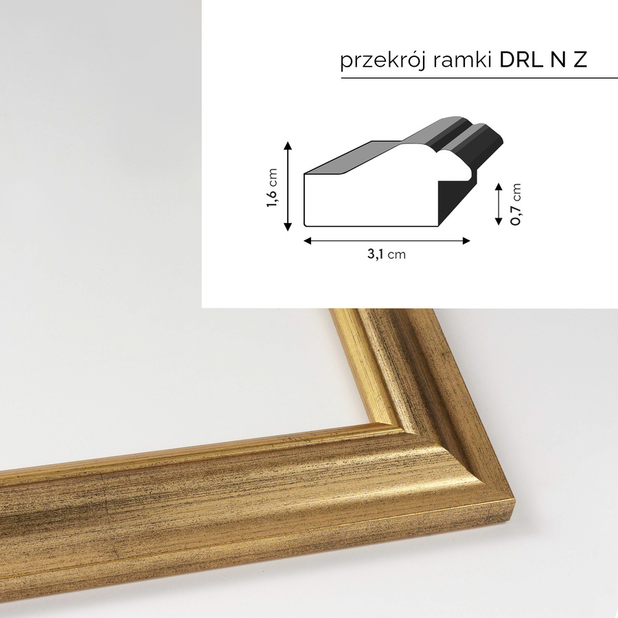 Ramka drewniana VIESTE 2077, szlachetna fotoramka na zdjęcia, plakaty lub obrazy - kolor złoty