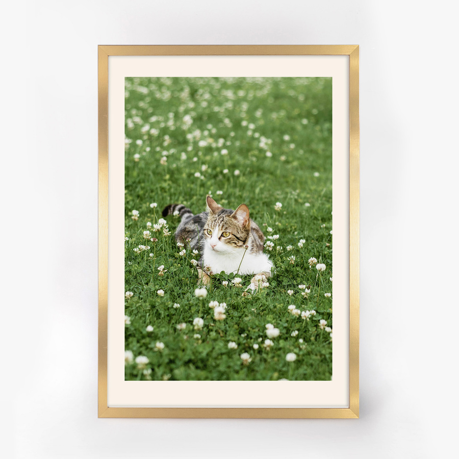 Złota ramka HEN Z 60x80 cm