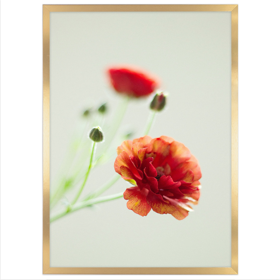 Złota ramka HEN Z 70x100 cm