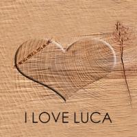 I-love-LUCA.jpg